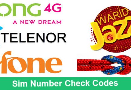 Number Check Codes